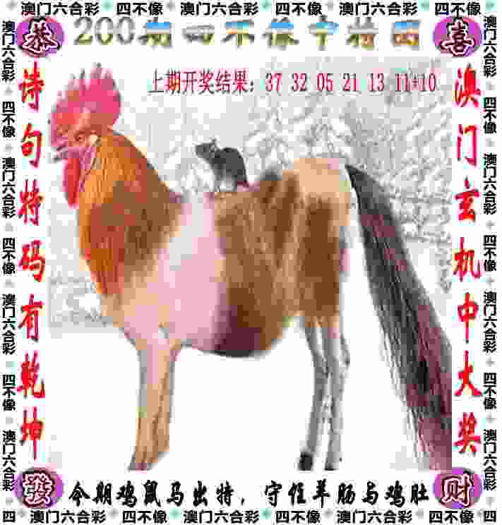 77777888管家婆四肖四码 v9.6.5.59 官方正式版 0